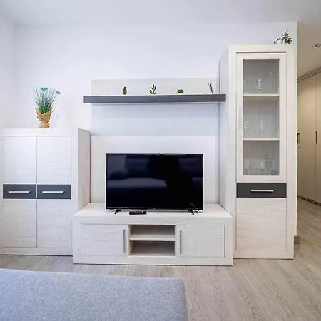El Pigazu Apartamento *